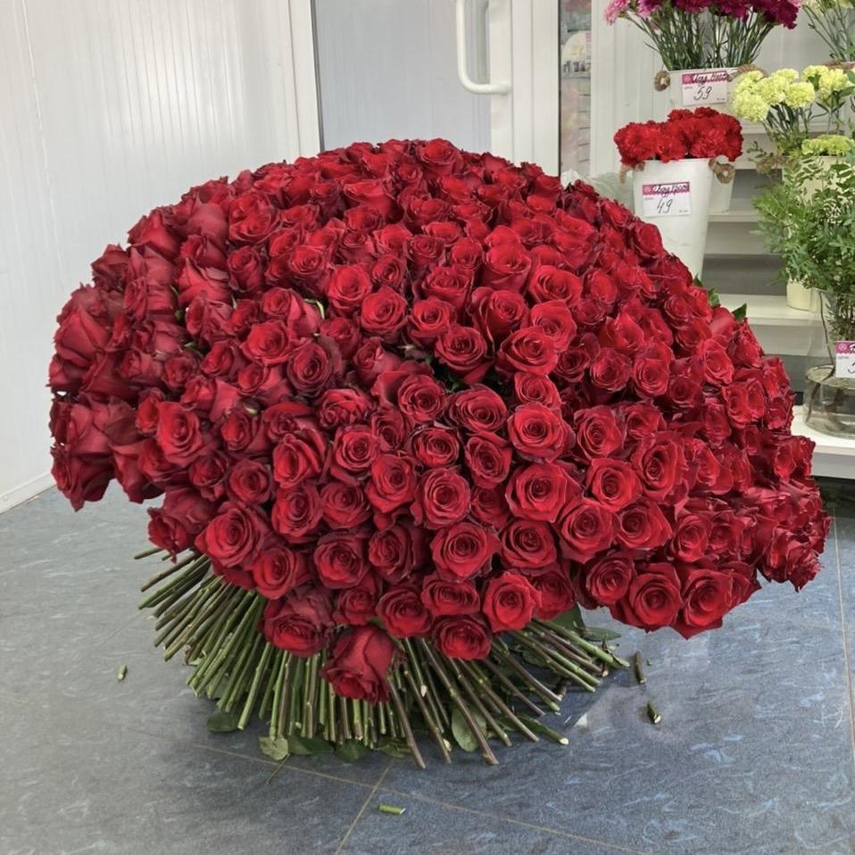 Букеты из красных роз 80 см (Эквадор) №: 202404