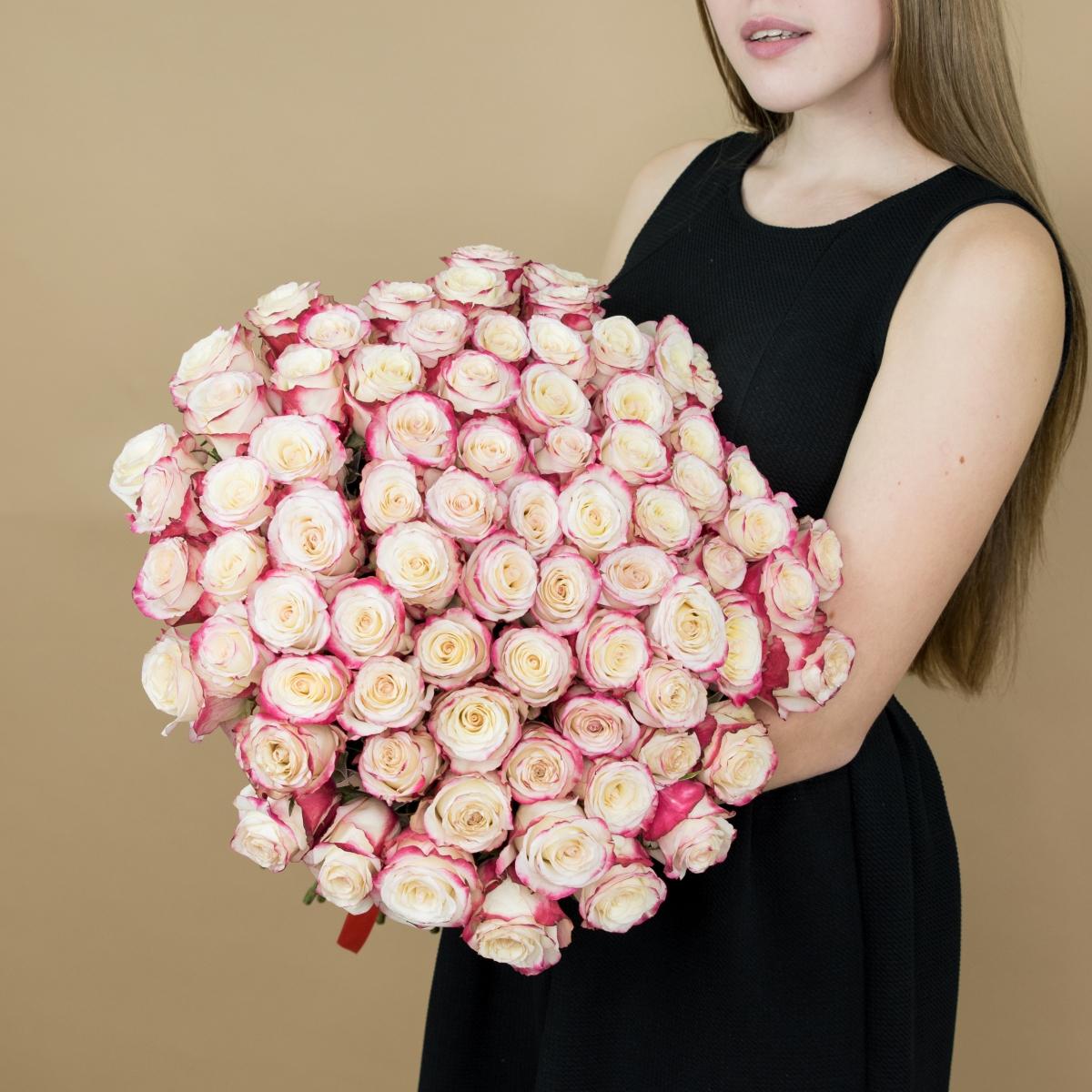 Розы красно-белые 101 шт. (40 см) код товара  89178