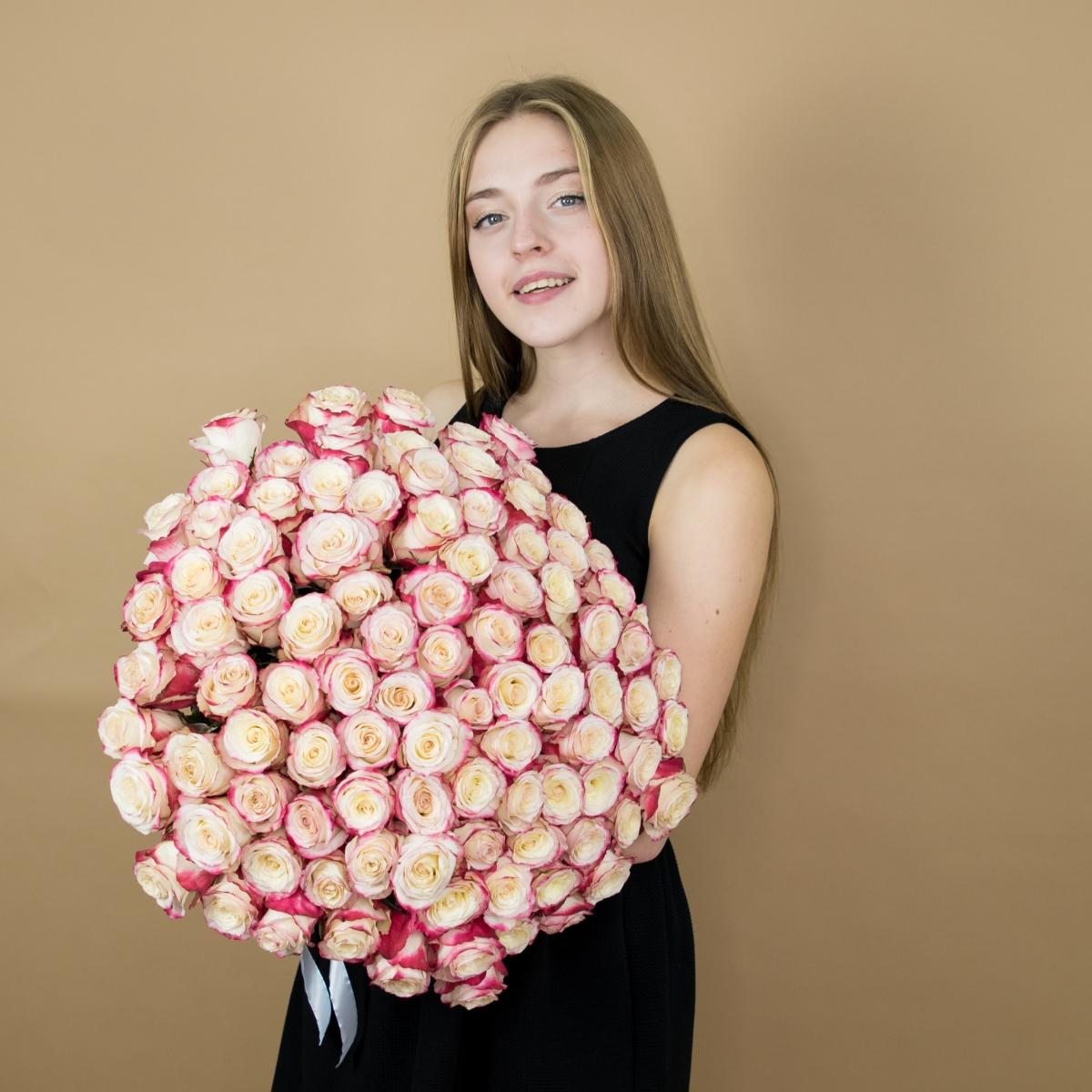 Розы красно-белые 101 шт. (40 см) код товара  89178