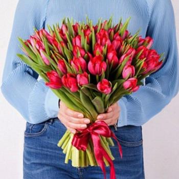 Тюльпаны красные 51 шт (Артикул  145457)